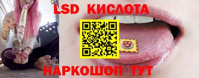 шишки Брянск