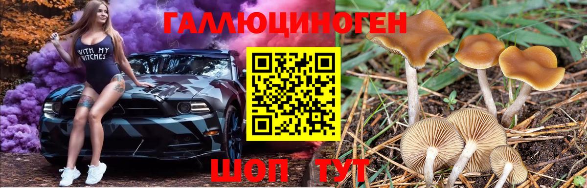 Галлюциногенные грибы Magic Shrooms  Псилоцибиновые грибы мухоморы  Вход с VPN  Саянск 